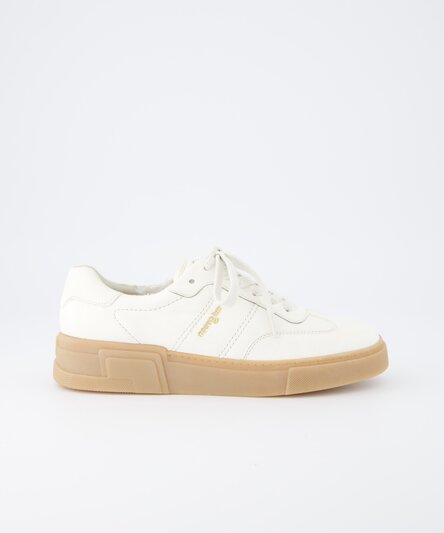 Sneakers Paul Green